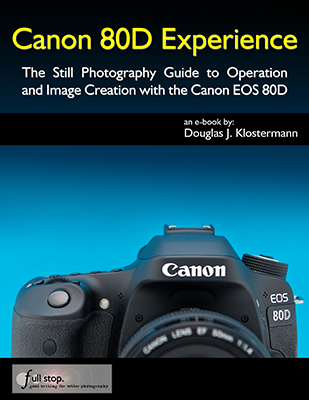 Canon 80D Experience book manual guide how to use learn tutorial tips tricks setup master dummies quick start